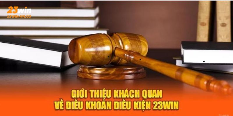 dieu khoan dieu kien 23win 2